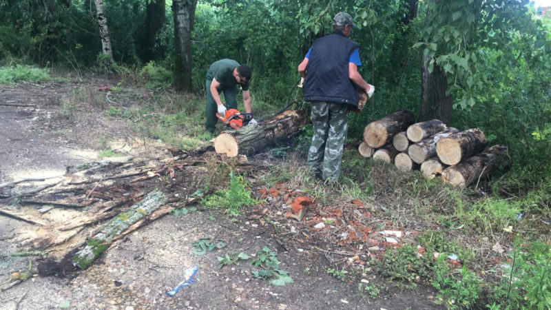 В Рузском округе дробят ветки и вывозят порубочные остатки