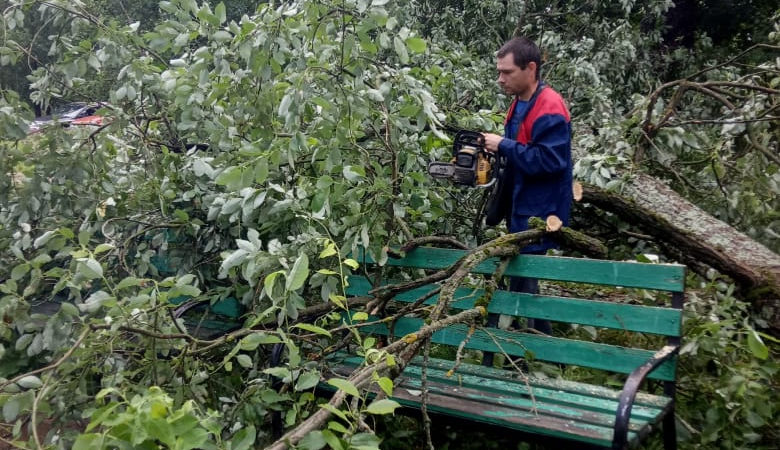 В Рузском округе пилят деревья