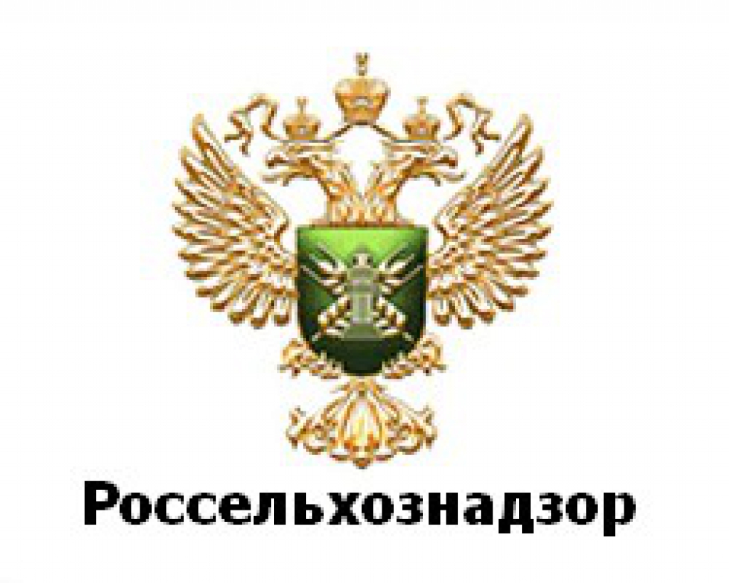 Четыре гектара «Бабаевским» не возделываются - РузаРИА - Новости Рузского  городского округа. Фото и видео