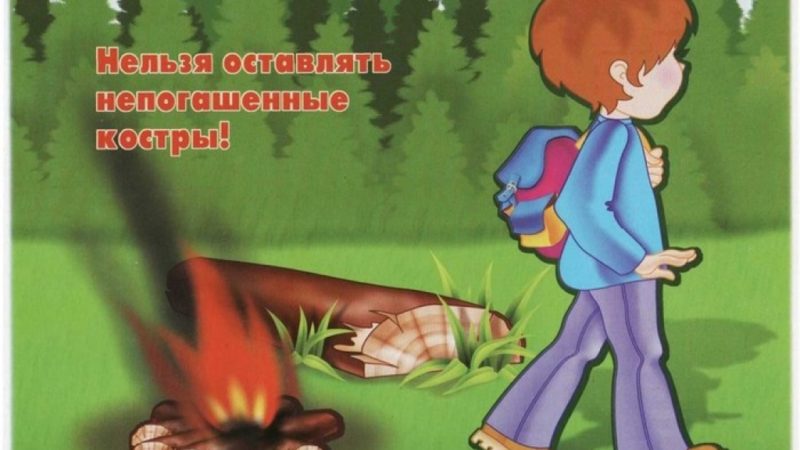 Ружан призывают беречь лес от пожара
