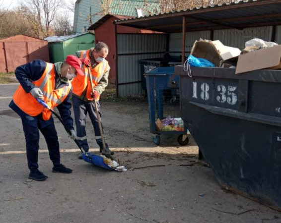 В Рузском округе систематически наводят чистоту на контейнерных площадках