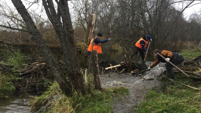 Уровень воды в реке Зуевке снижается