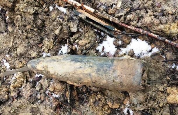 В Рузском округе обнаружили боеприпасы времен войны