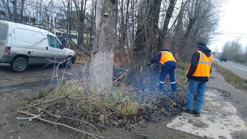 В Рузском округе убирают сухостой