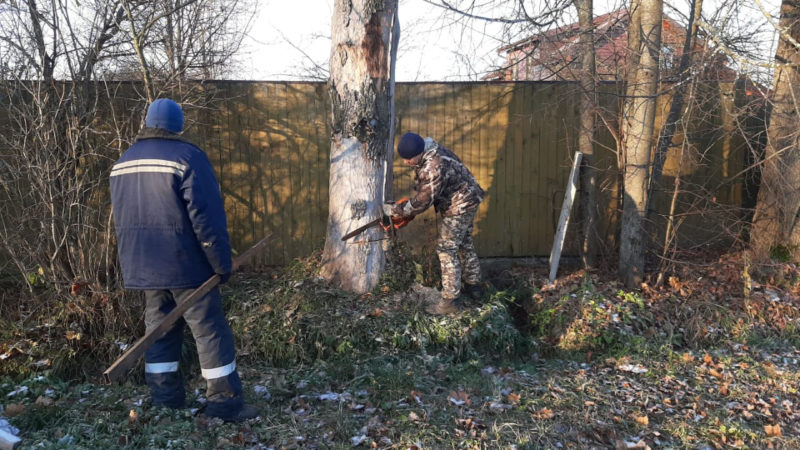 В Рузском округе проводят опиловку деревьев