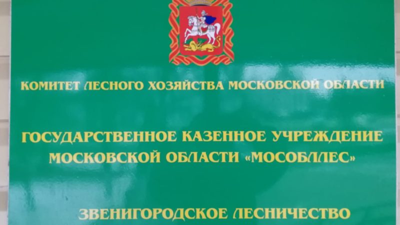 Звенигородский филиал Мособллеса: итоги 2020 года