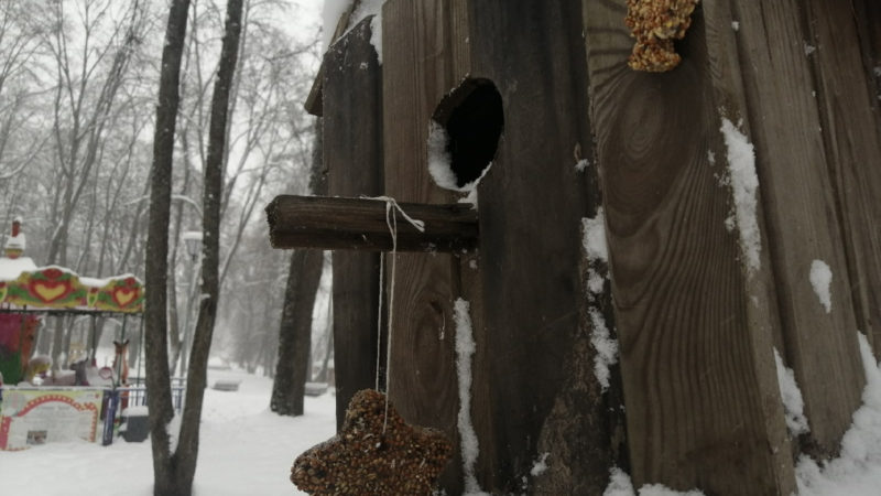 На Городке проходит экологическая акция