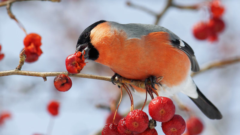 Отвечают на вопросы маленьких ружан