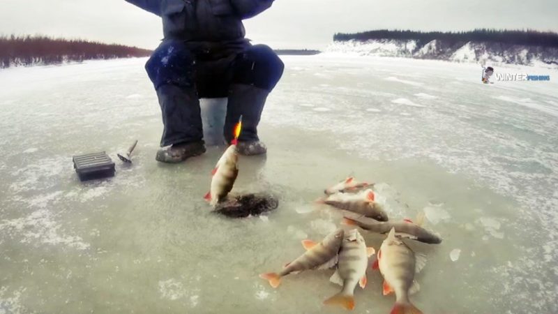 Ружан приглашают на зимнюю рыбалку