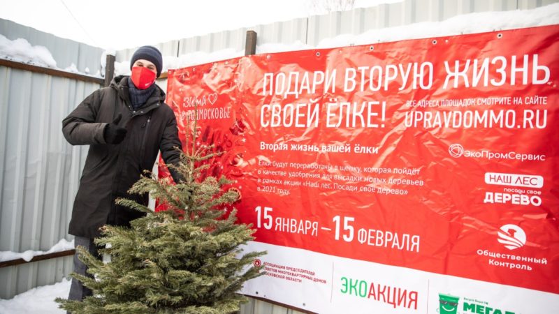 В Рузском кластере сдали больше всего елок на переработку