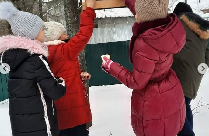 Юные дороховчане заботятся о птицах