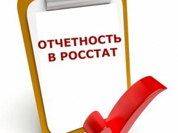 Рузским предпринимателям сообщают о необходимости направлять отчетность в Росстат