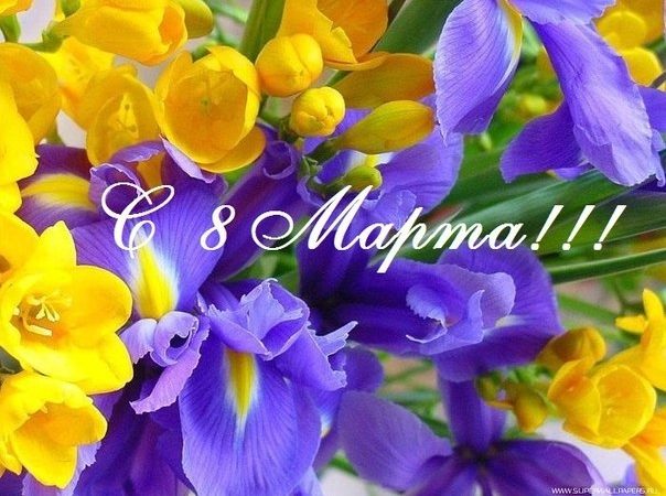 Владимир Вшивцев пожелал ружанкам счастья и любви