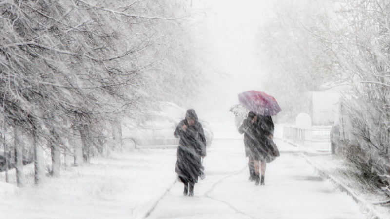 Ружан предупреждают: в выходные ожидается метель