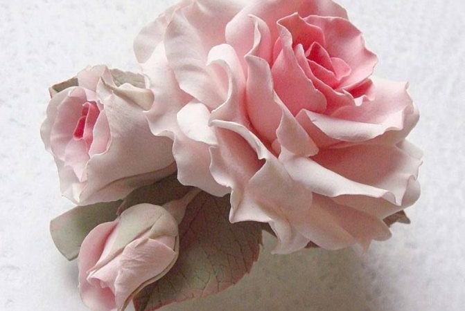 Рузским пенсионерам предложили сделать розочки