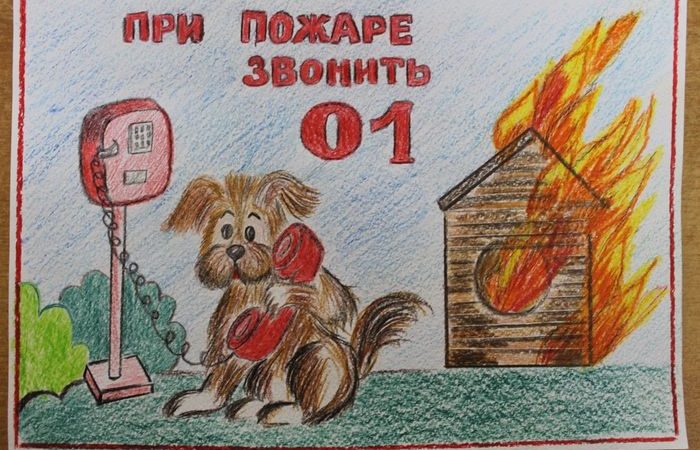 В Рузском округе подведены итоги конкурса по противопожарной безопасности