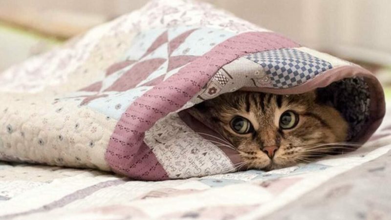 Ружанам рассказали о мерах безопасности при понижении температуры