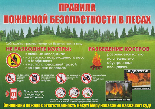 В рузских лесах будет проводиться патрулирование в пожароопасный период
