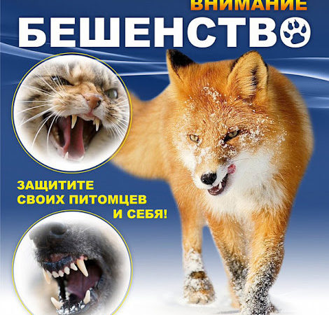 Владельцы домашних животных, будьте бдительны!