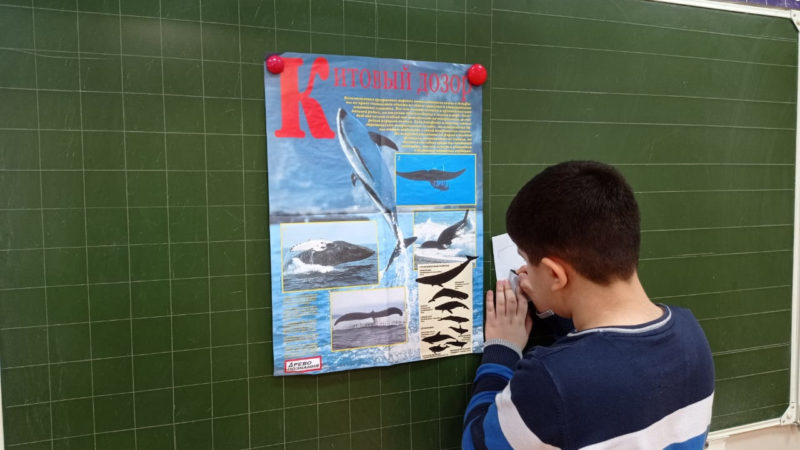 Тучковцы рисовали морских животных