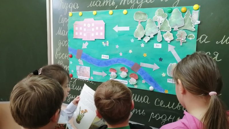 Ружанам – о лесных обитателях