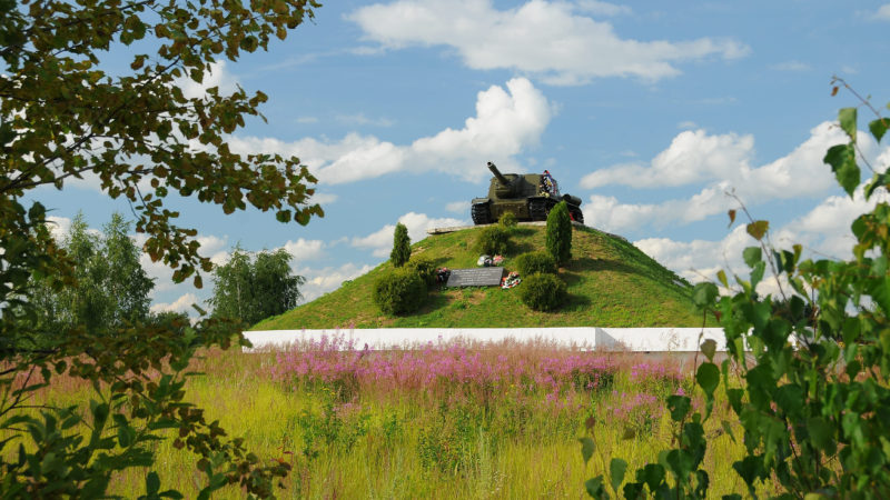 В Рузском округе обнаружили останки восьмерых красноармейцев