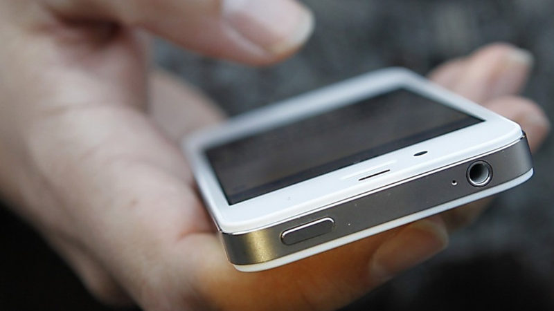 Рузские полицейские задержали воронежца, укравшего два телефона