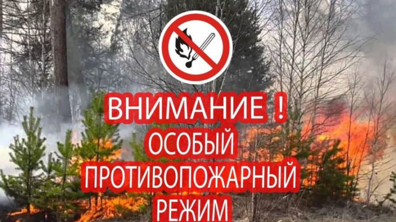 Николай Пархоменко призвал ружан не сжигать сухую траву