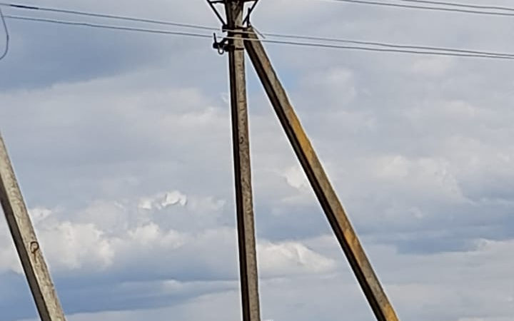 Аист прилетел!