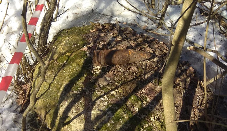 Рузские спасатели помогли обезвредить снаряд времен войны