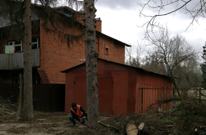 В Рузском округе приводят в порядок зеленые насаждения