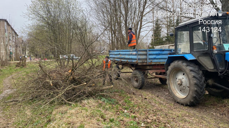 В Рузском округе обрезают и вывозят сухие ветки