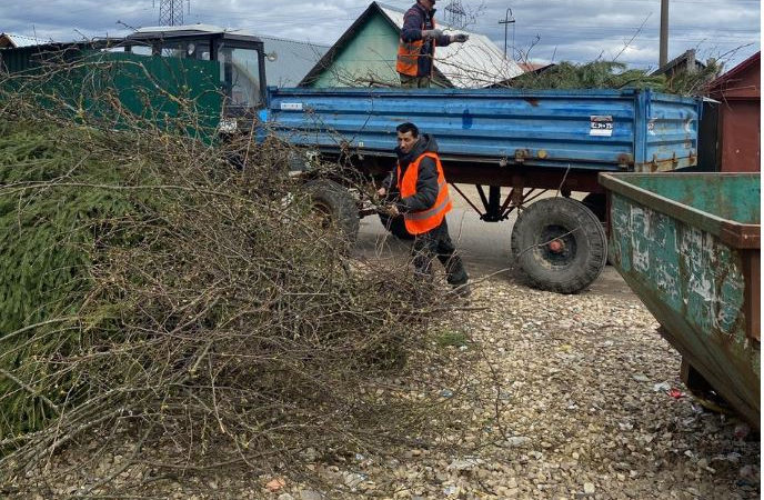 В Рузском округе вывозят ветки из населенных пунктов