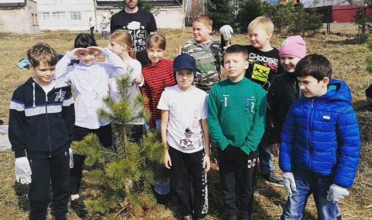 Колюбакинские школьники сажали сосенки