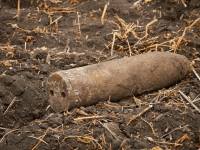 В Рузском округе обнаружены боеприпасы