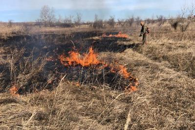 Ружан информируют о запрете на сжигание сухой травы