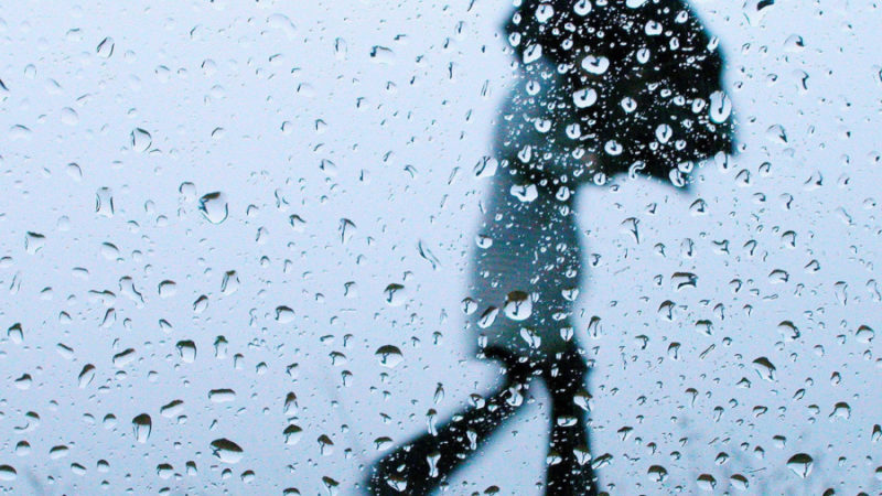 Ружан предупреждают о сильном дожде и усилении ветра