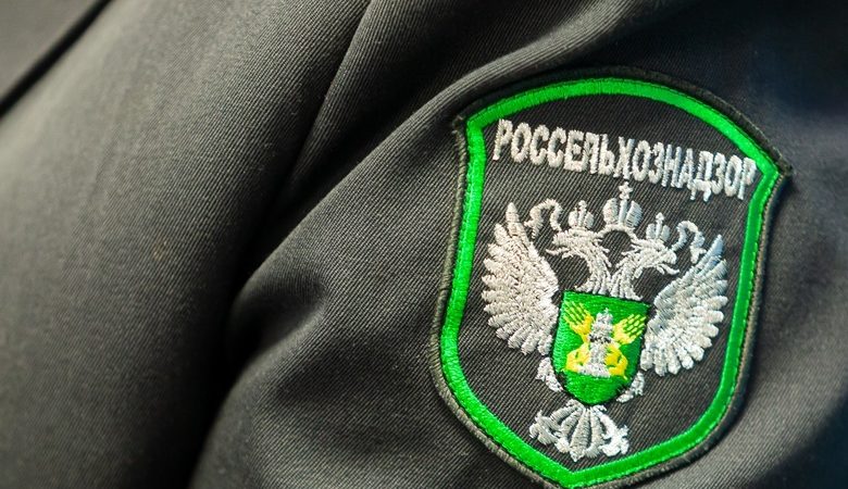 В Рузском округе привлекли к ответственности частного предпринимателя
