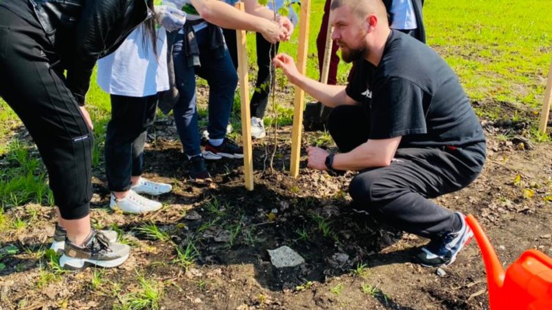 В Рузском округе посадили 150 деревьев