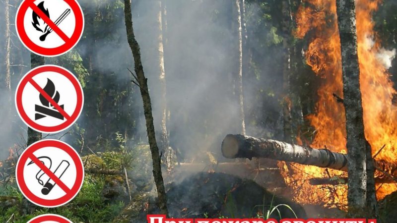 Ружанам – о соблюдении правил противопожарной безопасности на природе