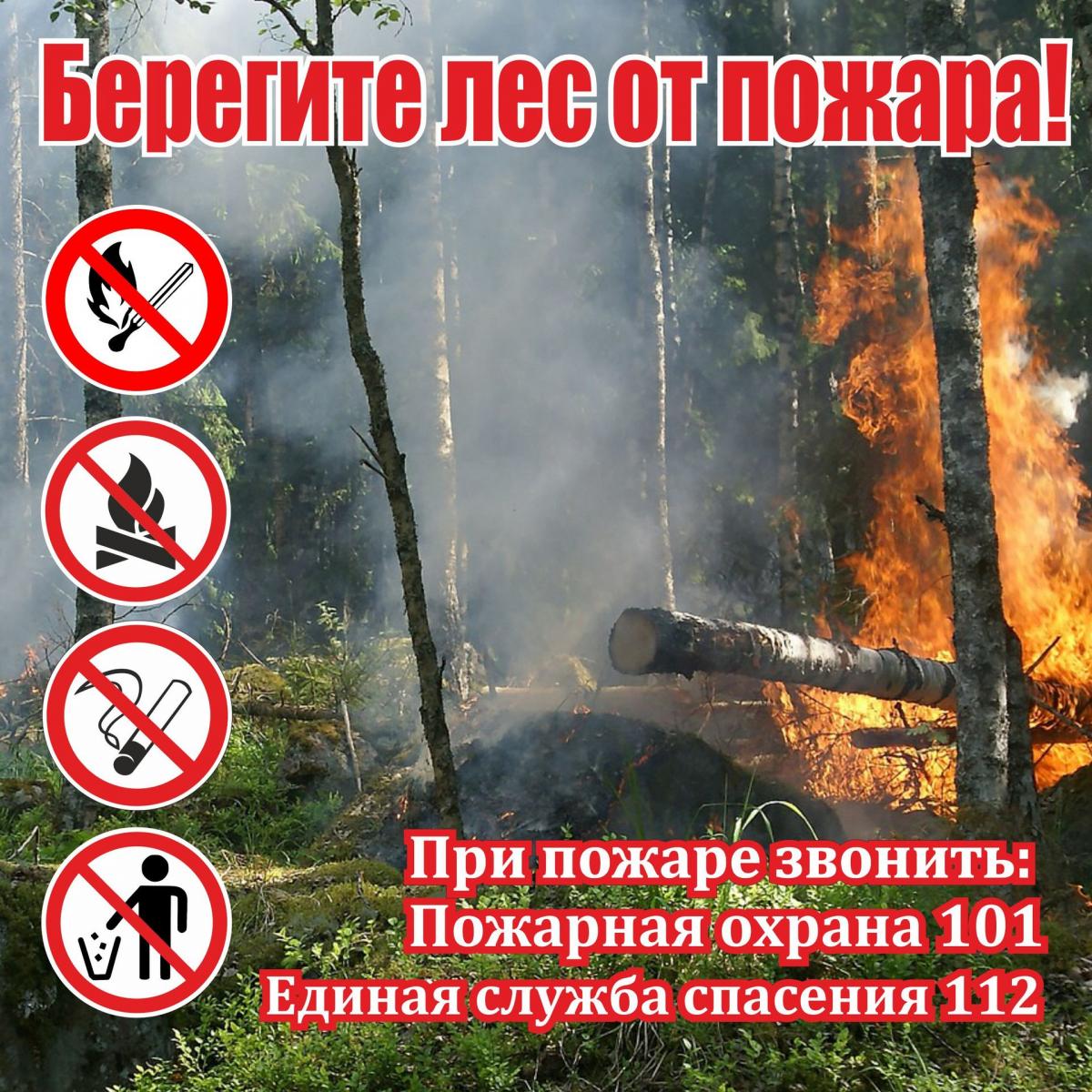 Ружанам – о соблюдении правил противопожарной безопасности на природе |  19.05.2021 | Руза - БезФормата