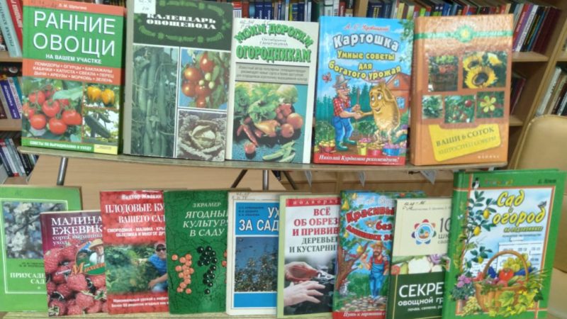 Ружанам рассказали о дачных хлопотах