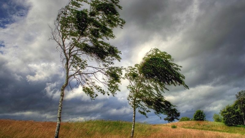 Ружанам – о мерах предосторожности при сильном ветре