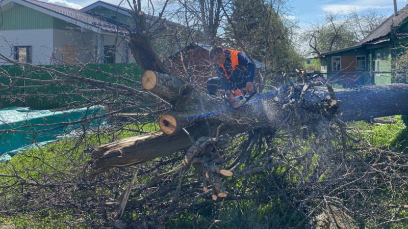В Рузском округе убирают поваленные деревья