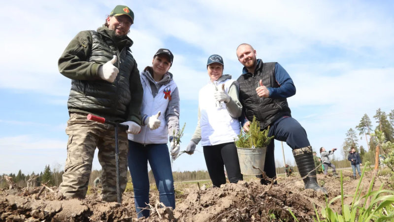 Ружан приглашают сажать «Лес Победы»