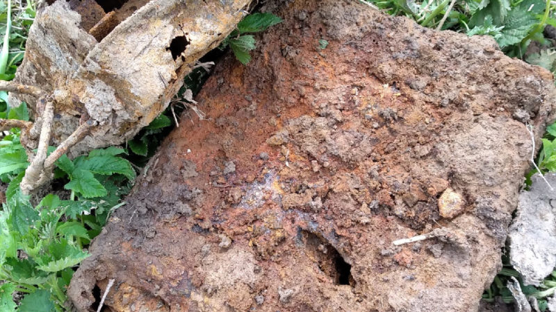 В Рузском округе обнаружили опасную находку