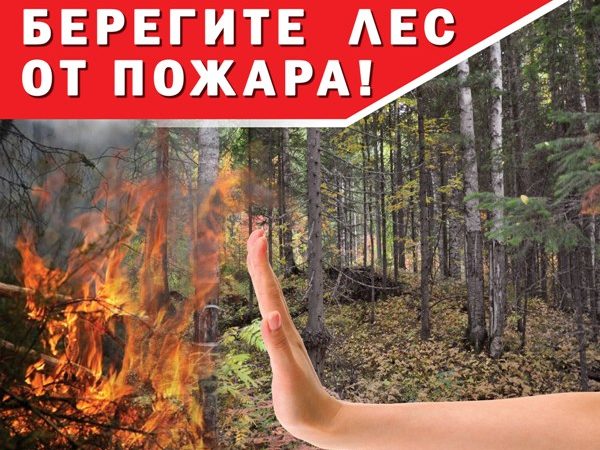 Ружанам напоминают правила противопожарной безопасности в лесу