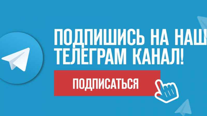 Рузских сельхозпроизводителей информируют о Бирже животных Московской области