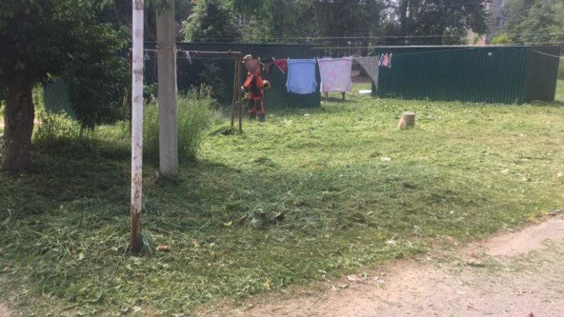 В Рузском округе окашивают территории