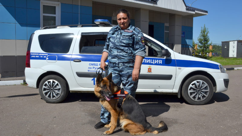 Ружанам – о патрульно-постовых собаках полиции